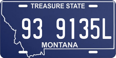 MT license plate 939135L