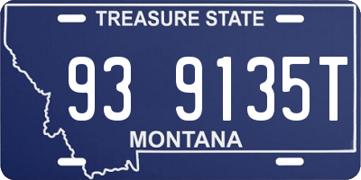 MT license plate 939135T