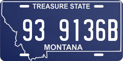 MT license plate 939136B