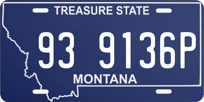 MT license plate 939136P