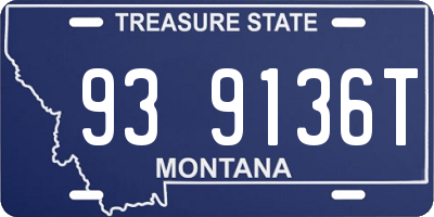 MT license plate 939136T