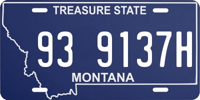 MT license plate 939137H