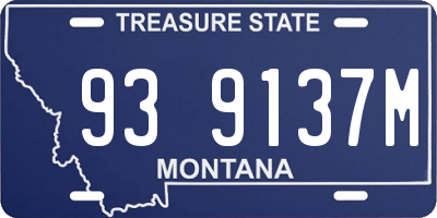 MT license plate 939137M