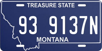 MT license plate 939137N