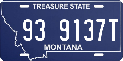 MT license plate 939137T