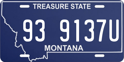 MT license plate 939137U