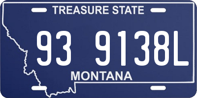 MT license plate 939138L