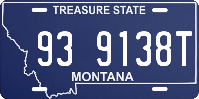 MT license plate 939138T