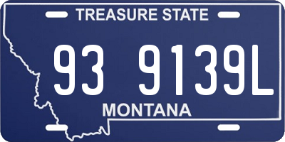 MT license plate 939139L