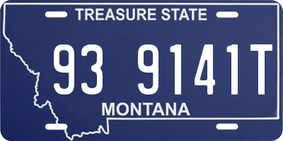 MT license plate 939141T