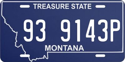 MT license plate 939143P