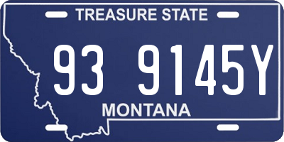 MT license plate 939145Y