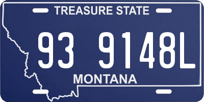 MT license plate 939148L