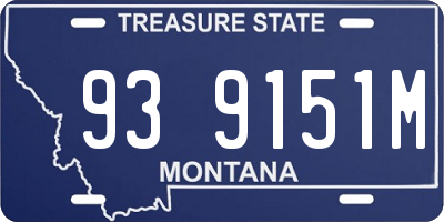MT license plate 939151M