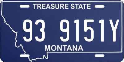 MT license plate 939151Y