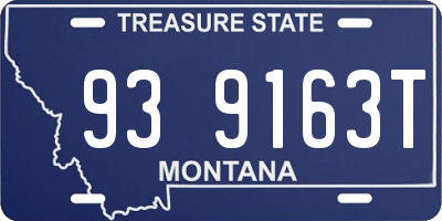 MT license plate 939163T