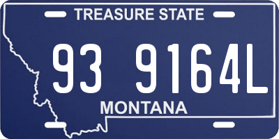 MT license plate 939164L