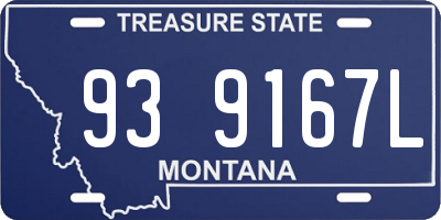 MT license plate 939167L