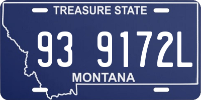 MT license plate 939172L