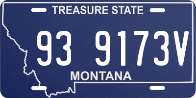 MT license plate 939173V
