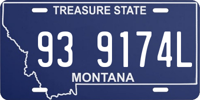 MT license plate 939174L