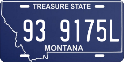 MT license plate 939175L