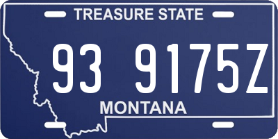 MT license plate 939175Z