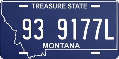MT license plate 939177L