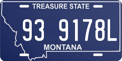 MT license plate 939178L