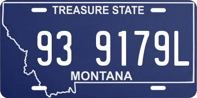 MT license plate 939179L