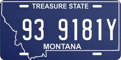 MT license plate 939181Y