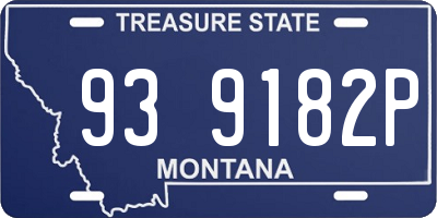 MT license plate 939182P