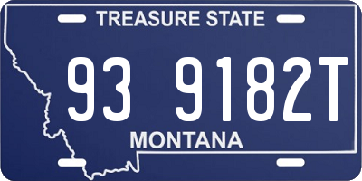 MT license plate 939182T