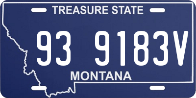 MT license plate 939183V