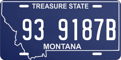 MT license plate 939187B