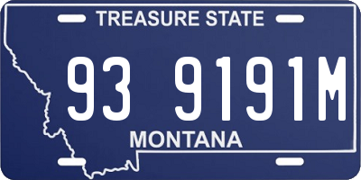 MT license plate 939191M