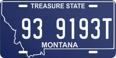 MT license plate 939193T