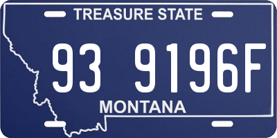 MT license plate 939196F