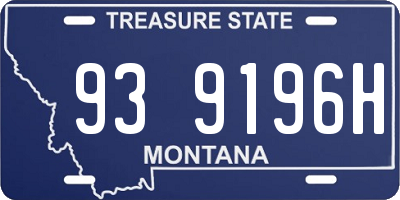 MT license plate 939196H