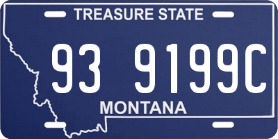 MT license plate 939199C