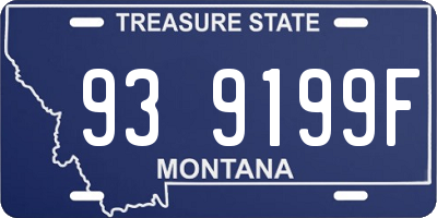 MT license plate 939199F