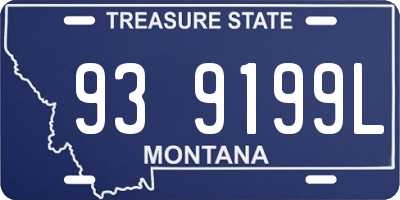 MT license plate 939199L