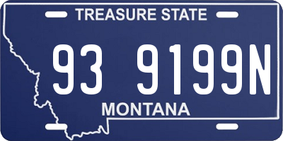 MT license plate 939199N