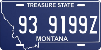 MT license plate 939199Z