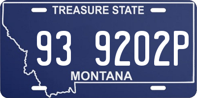 MT license plate 939202P