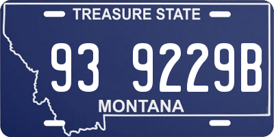 MT license plate 939229B