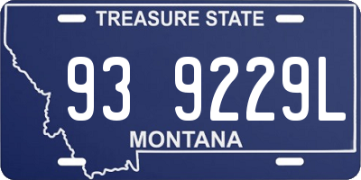 MT license plate 939229L