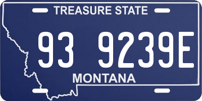 MT license plate 939239E