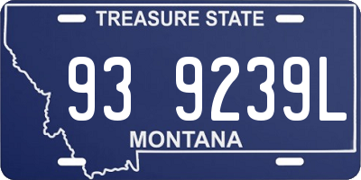 MT license plate 939239L