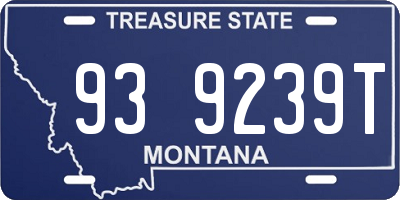 MT license plate 939239T